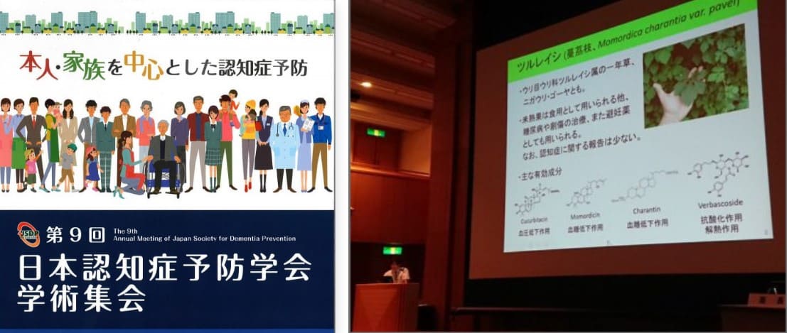 平戸ツルレイシの効果を日本認知症予防学会での発表の様子の写真