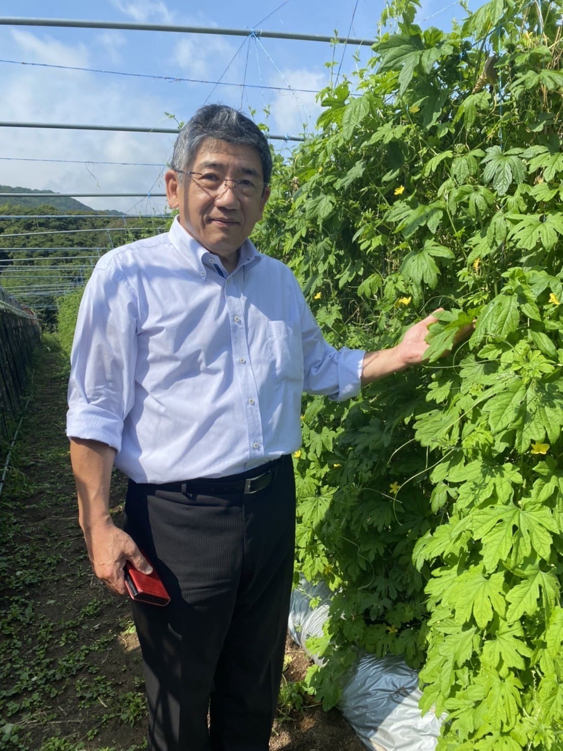 平戸ツルレイシ農園と長島社長の写真